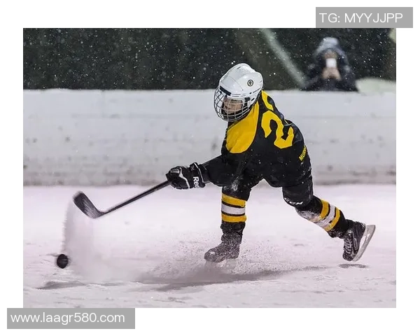 客服中心:冰球突破官网多元化支持渠道与高效问题解决机制分析 客服中心:冰球突破官网多元化支持渠道与高效问题解决机制分析